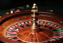 cricline69 Is Quietly Becoming the Go-To Platform for Cricket Betting Fans Cricline guru live